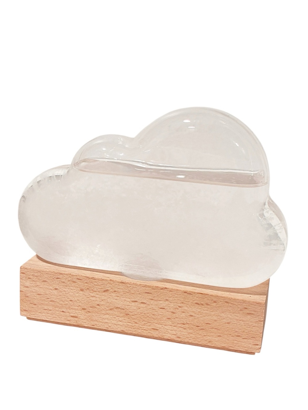 Chronicle Books Storm Cloud Weather Prediction Tool